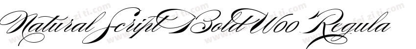 Natural Script Bold W00 Regular字体转换